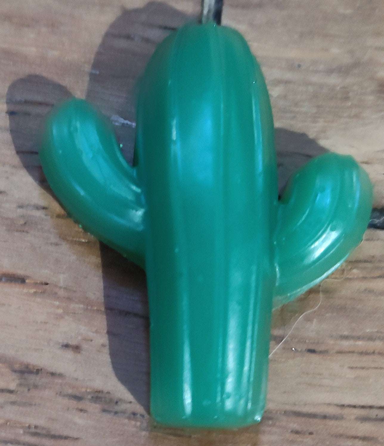 Green Cacti Pocket Hug