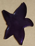 Sea Star